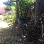 Limb & Yard Debris job - BEFORE