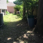 Limb & Yard Debris job - AFTER