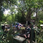 "Junk Collectors" Yard