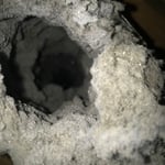 Before pic of clogged dryer vent