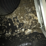 Mold growing in A/C unit