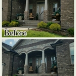 Bush trim & mulch