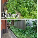 Lawn & Landscape B&As