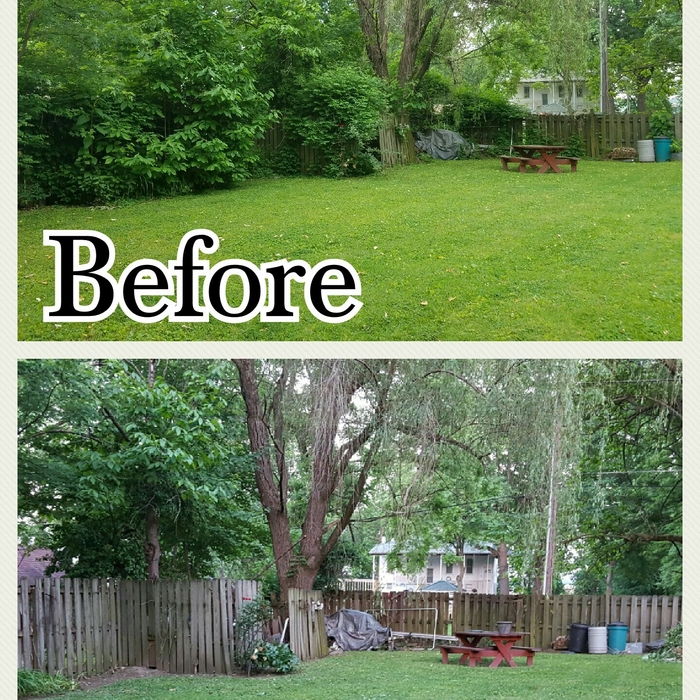 Lawn & Landscape B&As
