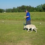 Colt Training Continued