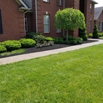 Mulching