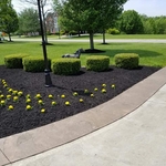 Mulching