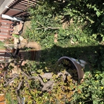 New yard
