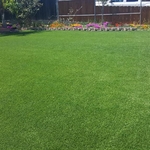 New yard