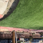 New yard