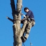 Climbing/cutting