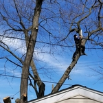 Being careful not to damage the garage