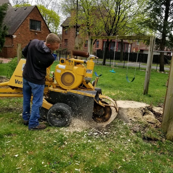 Grinding some of the stumps