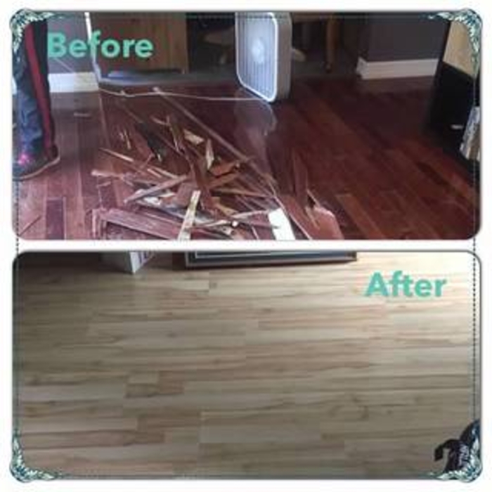 Our Work