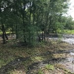 Brush clearing