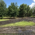Brush clearing