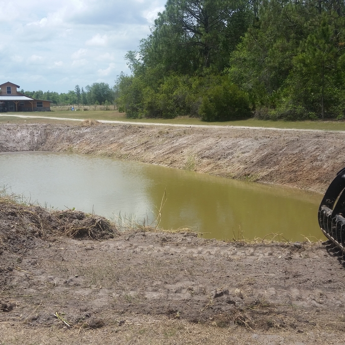 pond clean up
