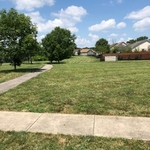 lawn care