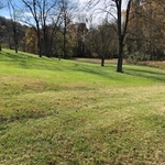 lawn care