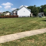 lawn care