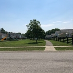 lawn care