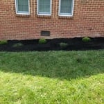 No more white rocks !