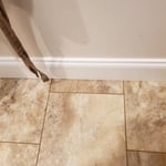 Floor and baseboard