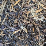 WE KILL SPIDERS
