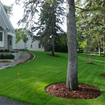Lawn treatment