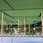 The completed surface