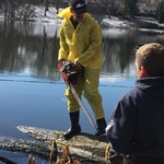 Removing a large tree from woods lake