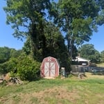 Backyard Tree Removal