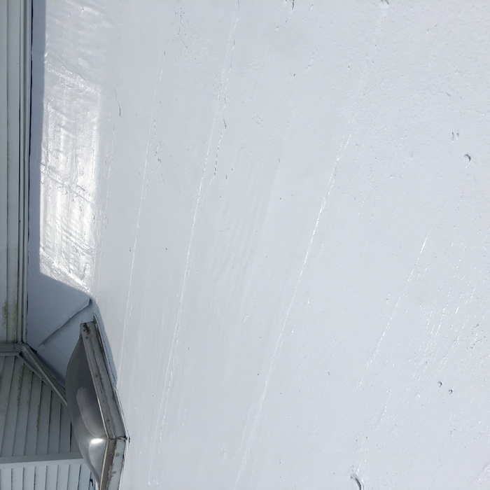 Roof coating