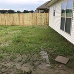Before Photo