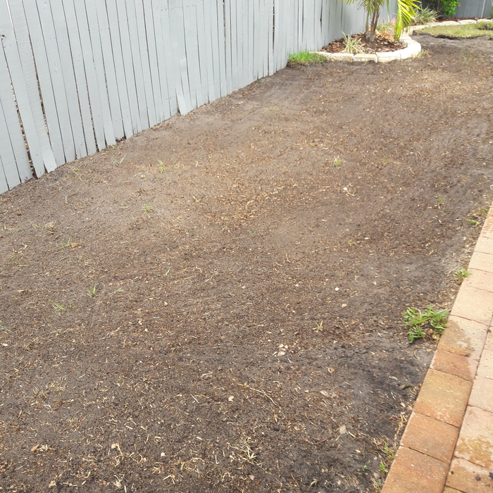 Old grass clean up