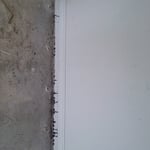 Termite activity