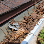 Before gutter protection