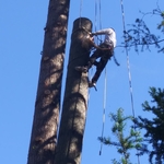 PREVIOUS JOBS