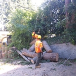PREVIOUS JOBS