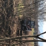 small tree and thick brush removal