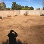 Before Photo of yard
