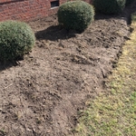 Removal of barrier and weeds from beds