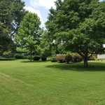 Lawn maintenance