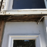 Extensive Wood Rot