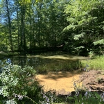 Removing silt from pond
