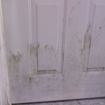 Steel door and threshold