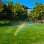 California Rainbow