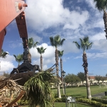 Community Clean Up!
