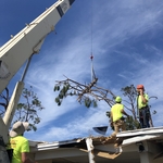 Our crane in action!