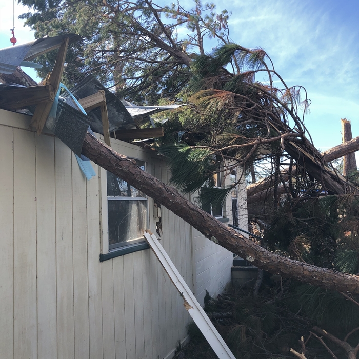 Storm Damage